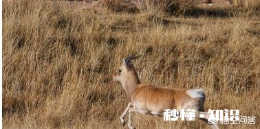 感觉自己越工作越穷，是怎么回事