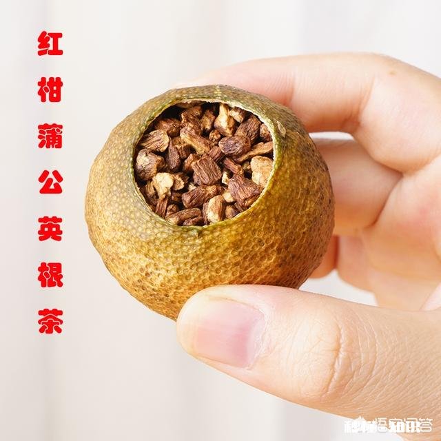 蒲公英根和叶哪个好，蒲公英根的功效有哪些