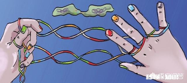 为什么一个个体基因突变都能算进化