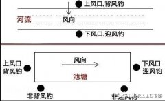 、桥堆钓鱼上风好还是下风好