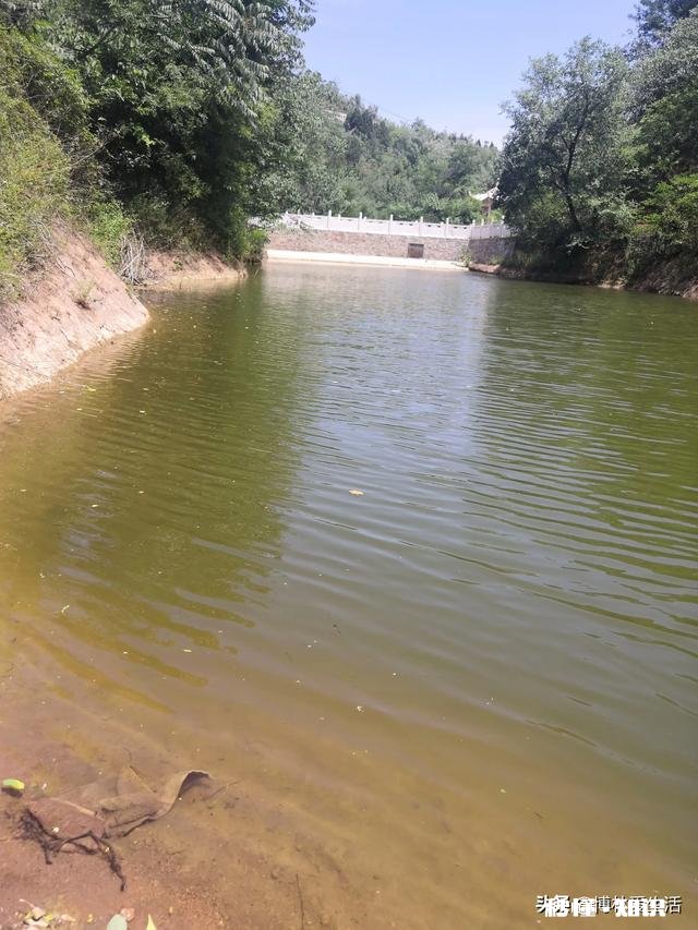 、桥堆钓鱼上风好还是下风好