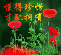 年轻人到底是先成家还是先立业