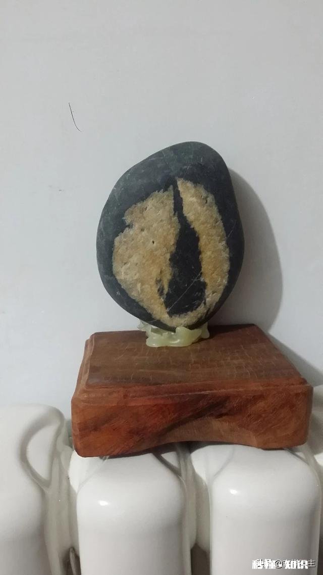 追求目标的人生路上你经历了哪些磨难你是怎么克服困难的