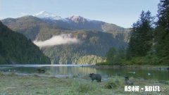 人类有哪些超越其他生物的身体优势