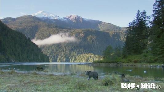 人类有哪些超越其他生物的身体优势