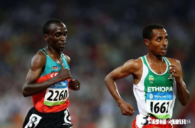 人类有哪些超越其他生物的身体优势