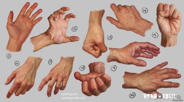 人类有哪些超越其他生物的身体优势