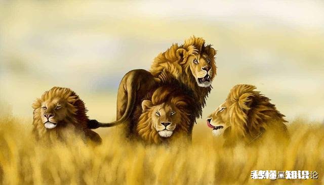 人类有哪些超越其他生物的身体优势