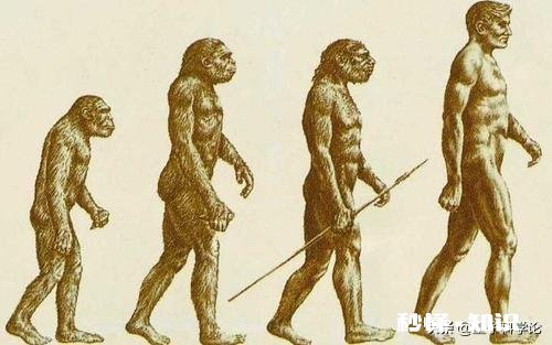 人类有哪些超越其他生物的身体优势