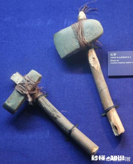 人类有哪些超越其他生物的身体优势