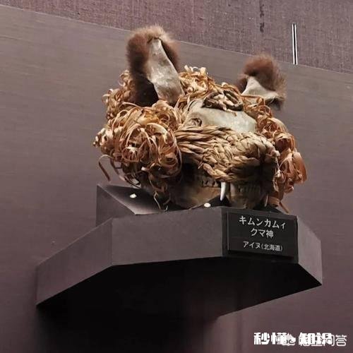 人类有哪些超越其他生物的身体优势