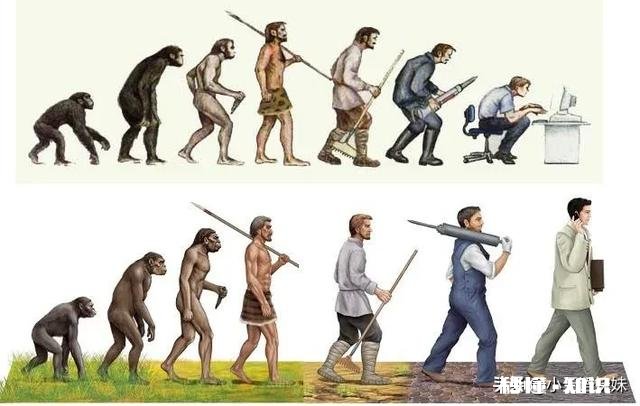 人类有哪些超越其他生物的身体优势