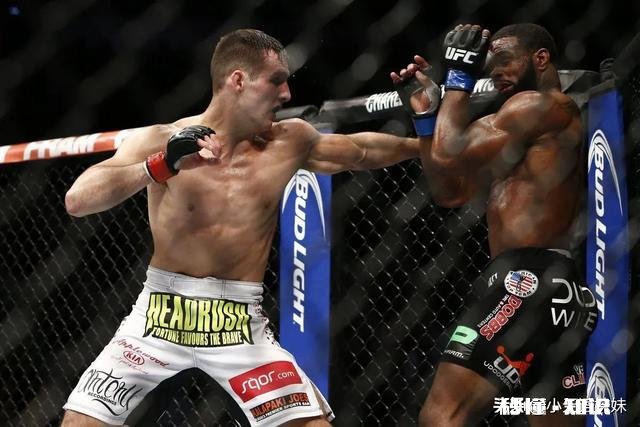 人类有哪些超越其他生物的身体优势