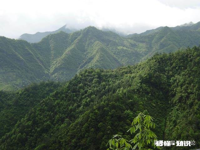 人类有哪些超越其他生物的身体优势