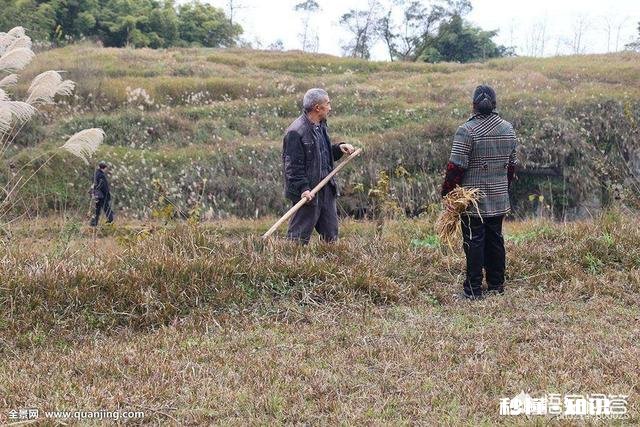村里人都说五一还花钱旅游简直是浪费钱,大家还不如去农村体验干农活呢,大家觉得呢