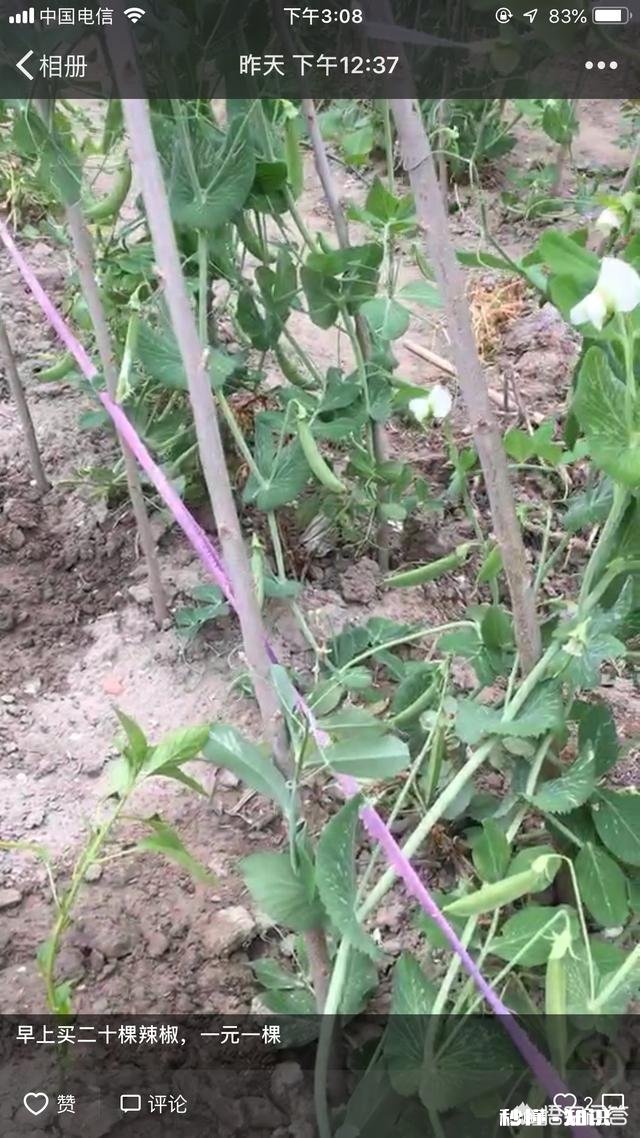 村里人都说五一还花钱旅游简直是浪费钱,大家还不如去农村体验干农活呢,大家觉得呢