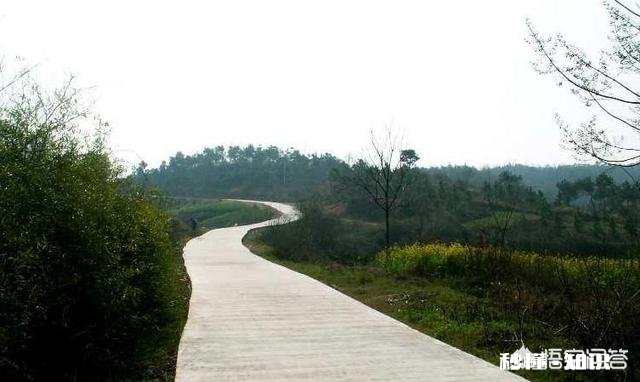 村里人都说五一还花钱旅游简直是浪费钱,大家还不如去农村体验干农活呢,大家觉得呢