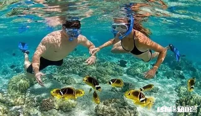 泰国皮皮岛好玩吗