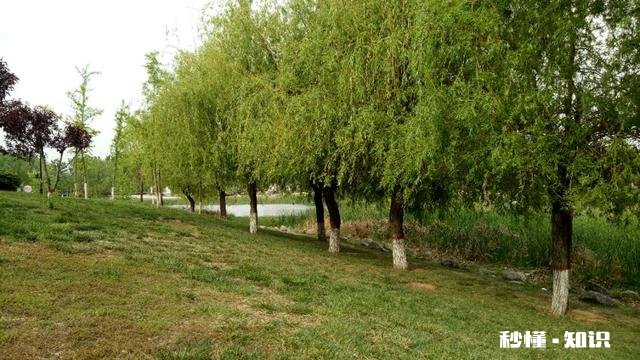 你经历过最难的阶段是什么时候什么事