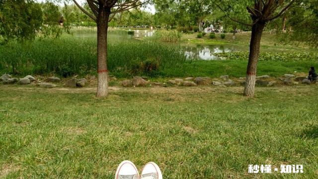 你经历过最难的阶段是什么时候什么事