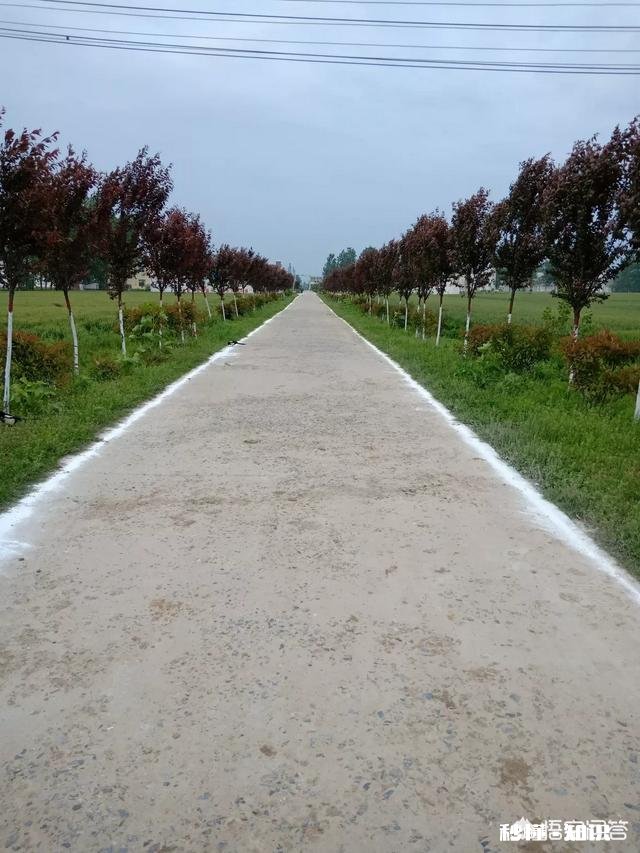 未来的农村生活，农民也越来越城市化了，过去的纯朴会不会消失