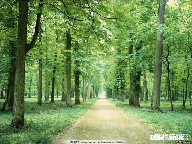 未来的农村生活，农民也越来越城市化了，过去的纯朴会不会消失