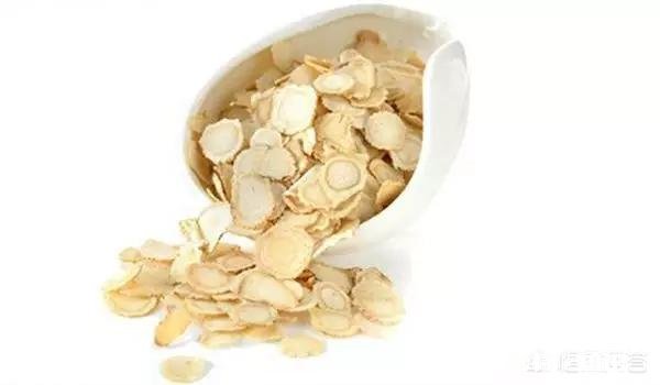 人参摘下来后再放到土里还能活吗