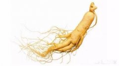 人参摘下来后再放到土里还能活吗