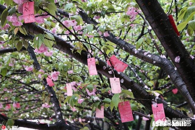 5月20日送什么给女朋友呢