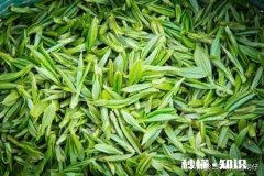 今年头春茶已进入采摘期，疫情对今年茶叶有什么影响