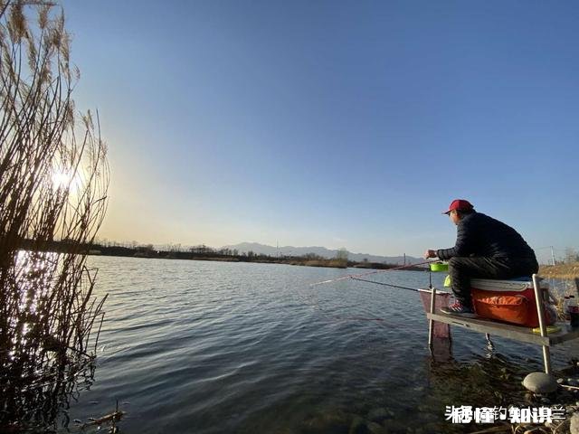 钓鱼直播，看漂用什么设备