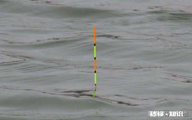 钓鱼直播，看漂用什么设备