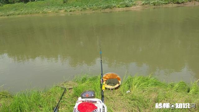 钓鱼直播，看漂用什么设备