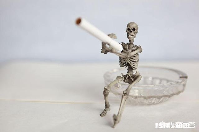 白天只要躺着就困，晚上躺着怎么也睡不着，不到半夜不睡觉，这正常吗