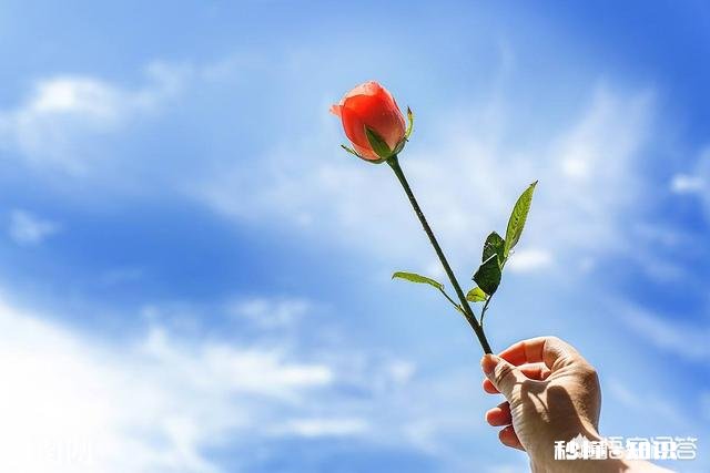 怎么蒸熟酱鸭子好吃