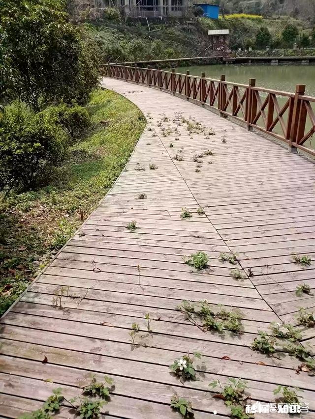 你希望一生如何度过