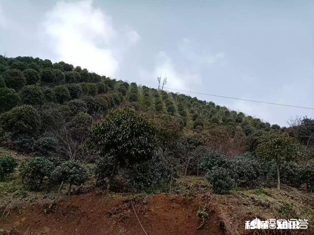 你希望一生如何度过