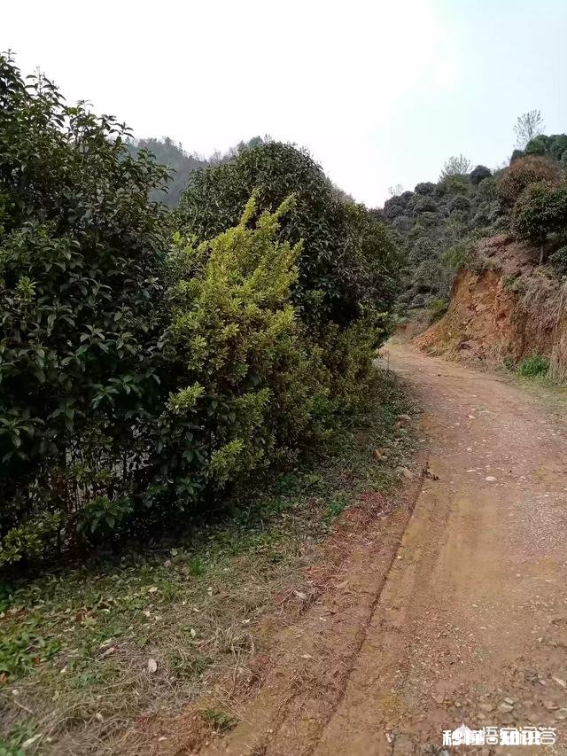 你希望一生如何度过