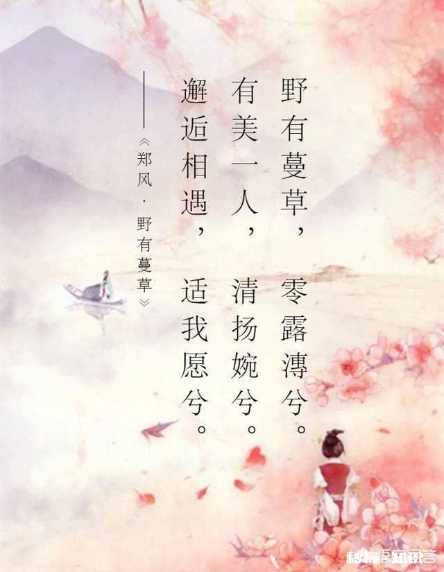 “一瞥便是惊鸿，芳华乱了浮生”什么意思如何解读