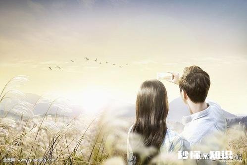 “一瞥便是惊鸿，芳华乱了浮生”什么意思如何解读