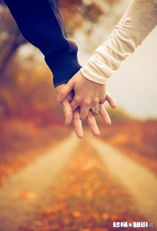 “一瞥便是惊鸿，芳华乱了浮生”什么意思如何解读