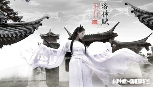 “一瞥便是惊鸿，芳华乱了浮生”什么意思如何解读