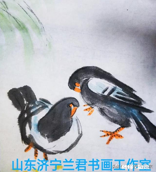 “一瞥便是惊鸿，芳华乱了浮生”什么意思如何解读