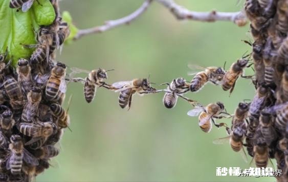 手下的人做事总是做不好但态度很好，我该不该帮她完成