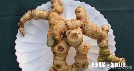 请问各位大侠，种植中药材滇黄精，用什么方法除草或控制住杂草丛生