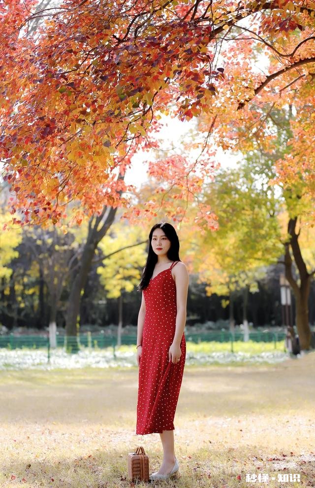 30岁了,一个心仪的女同学还没有结婚,要不要去追