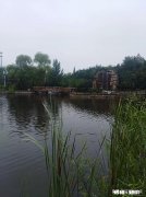 种植果树可以用挖机挖穴吗