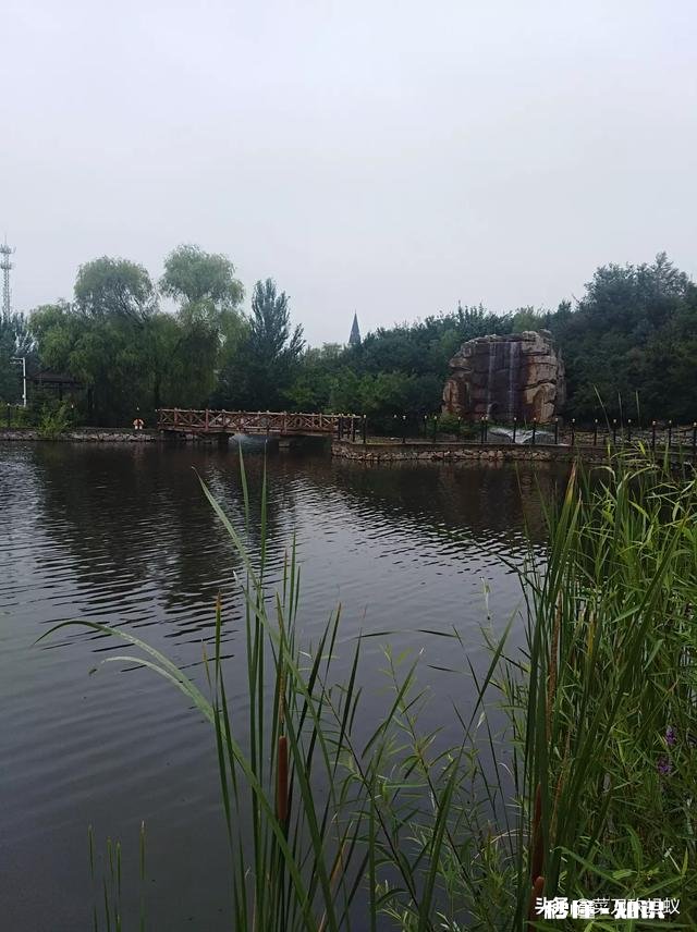 种植果树可以用挖机挖穴吗