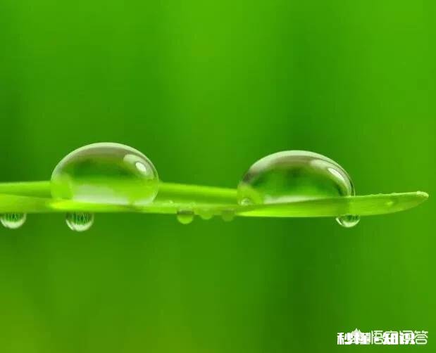 潜水是不是能治疗心理疾病