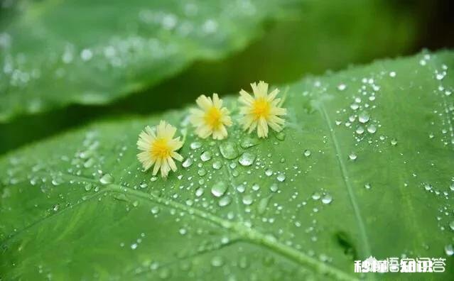 潜水是不是能治疗心理疾病